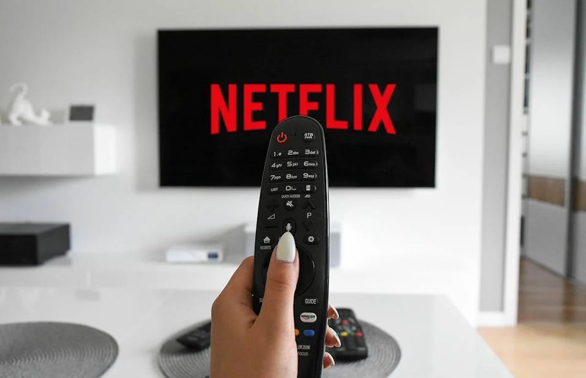 Netflix Licence